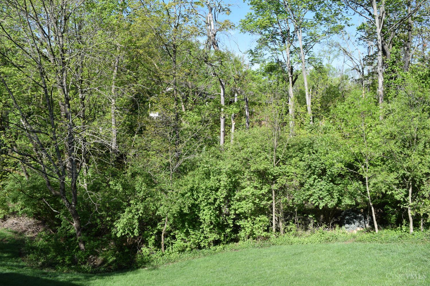5433 Cecilia Court