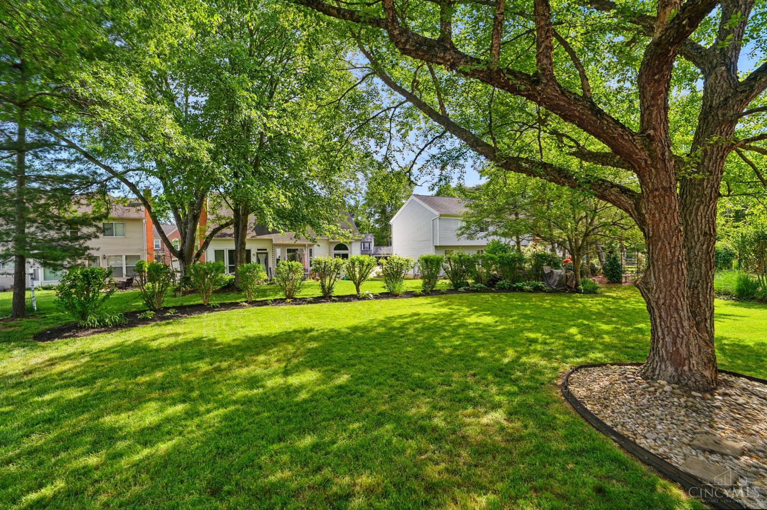 113 Arcaro Drive