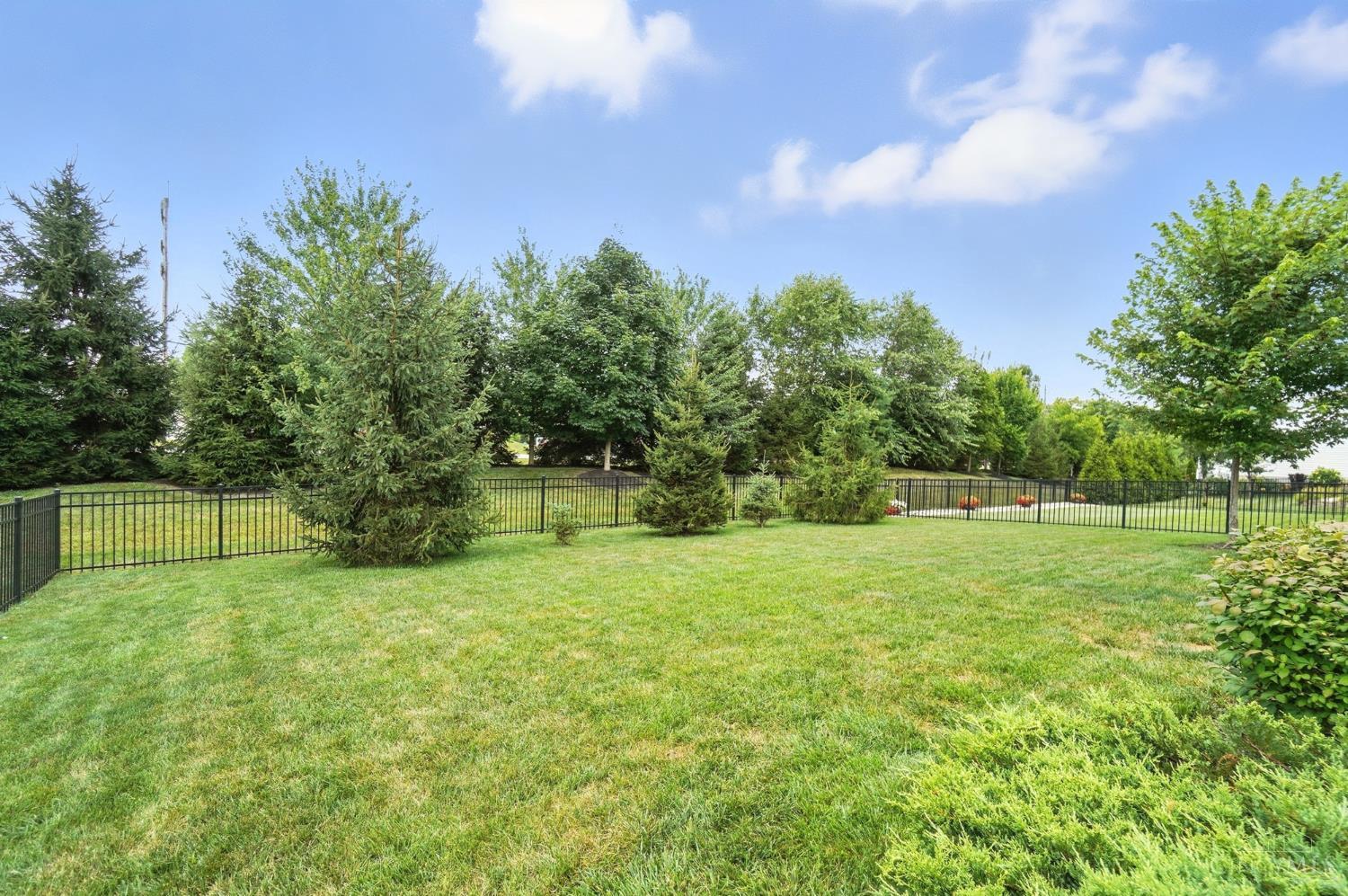 1295 Clemente Court