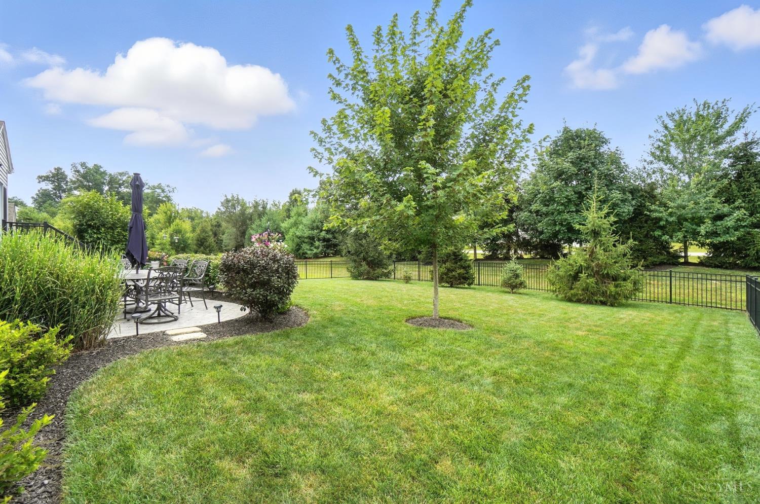 1295 Clemente Court