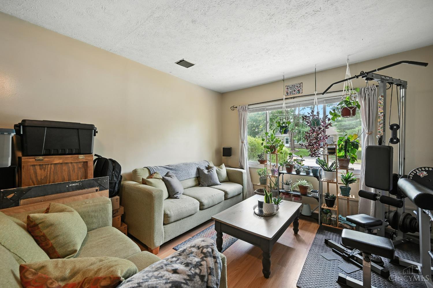 117 Westfield Drive