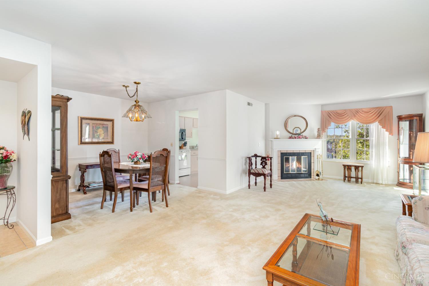 6295 Eagles Lake Drive 9