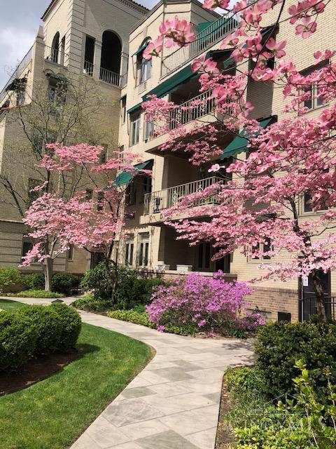 2380 Madison Road E3A