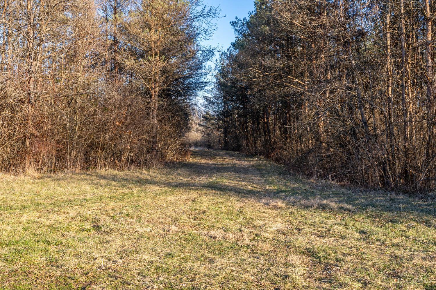 6099 Millikin Road