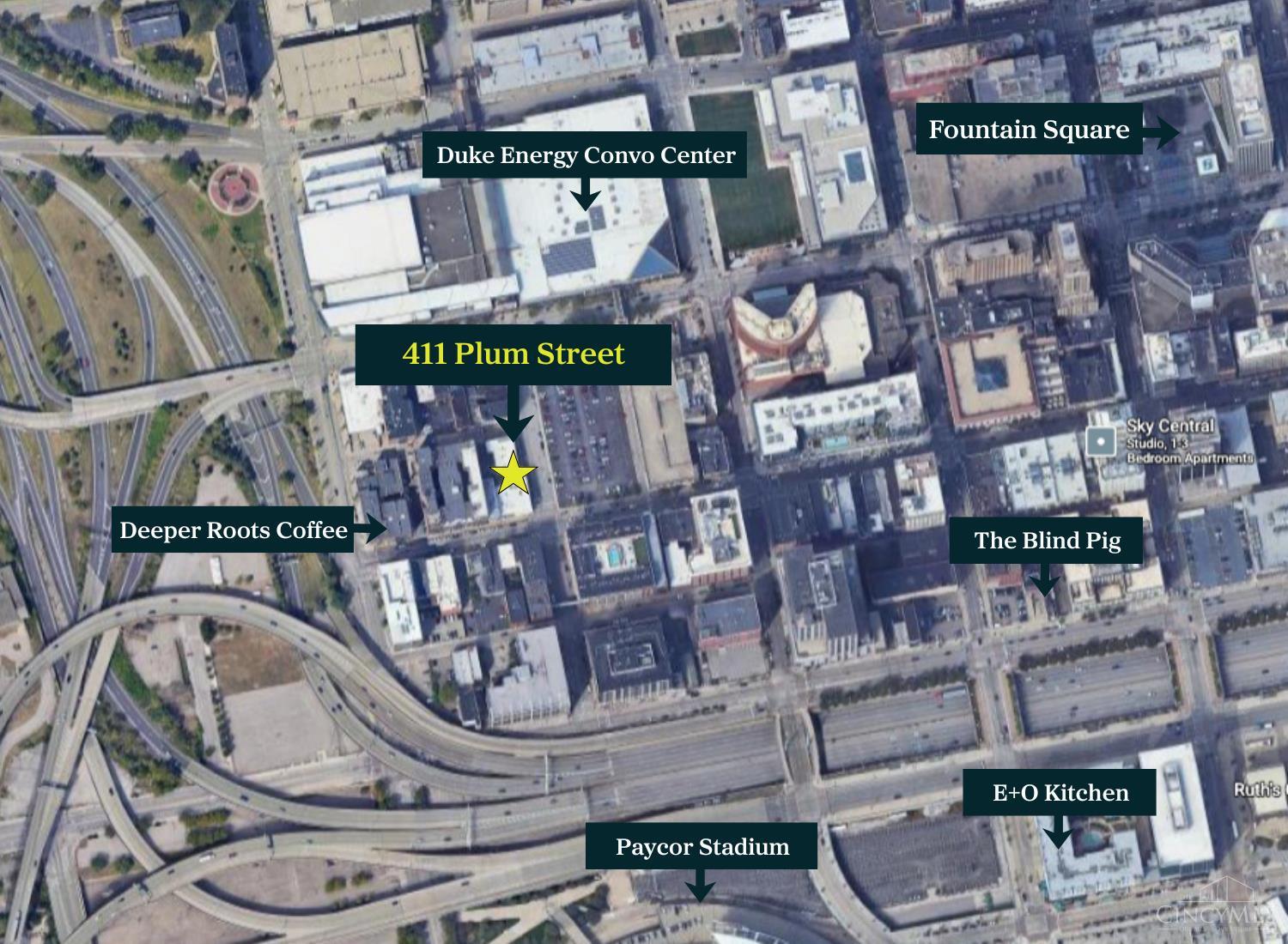 411 Plum Street 302