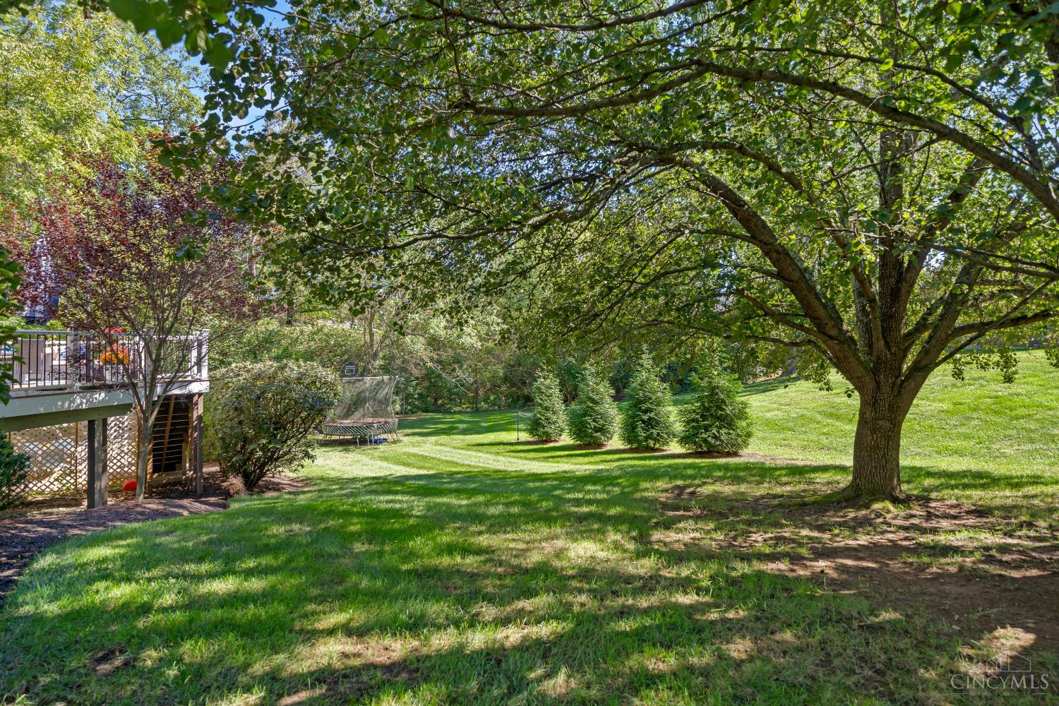 6716 Treeridge Drive