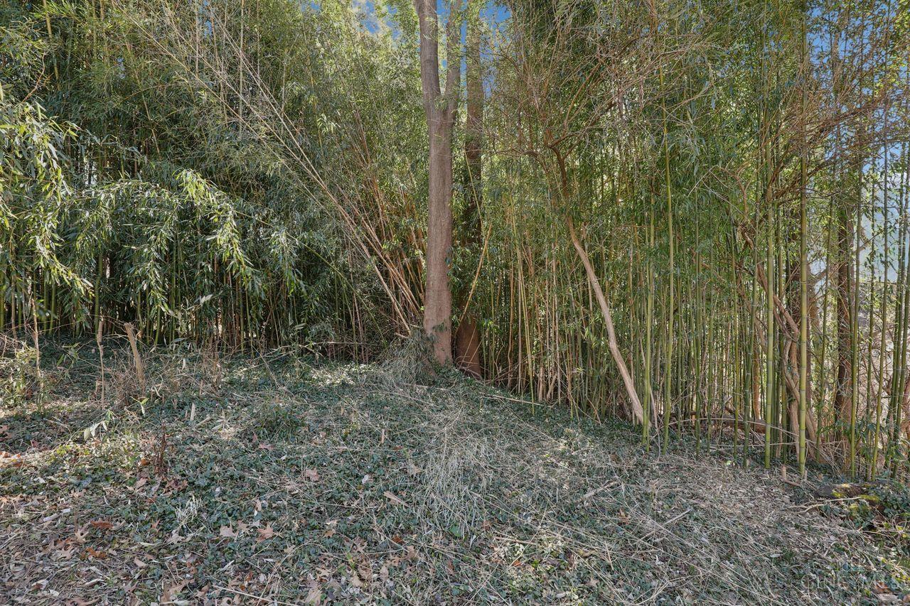 3817 Davenant Avenue