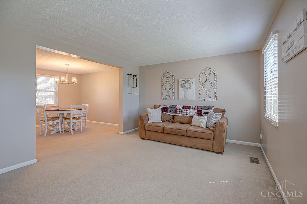 4924 Alvernovalley Court