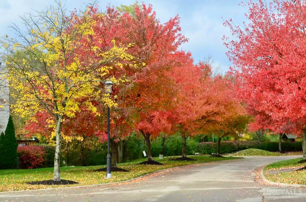 5984 Woodsbend Drive