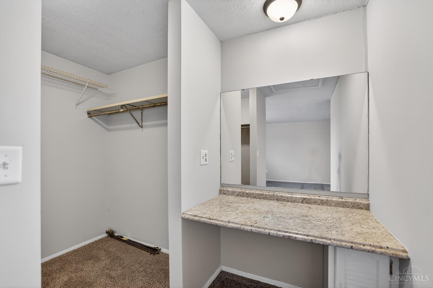 2847 Mossy Brink Court