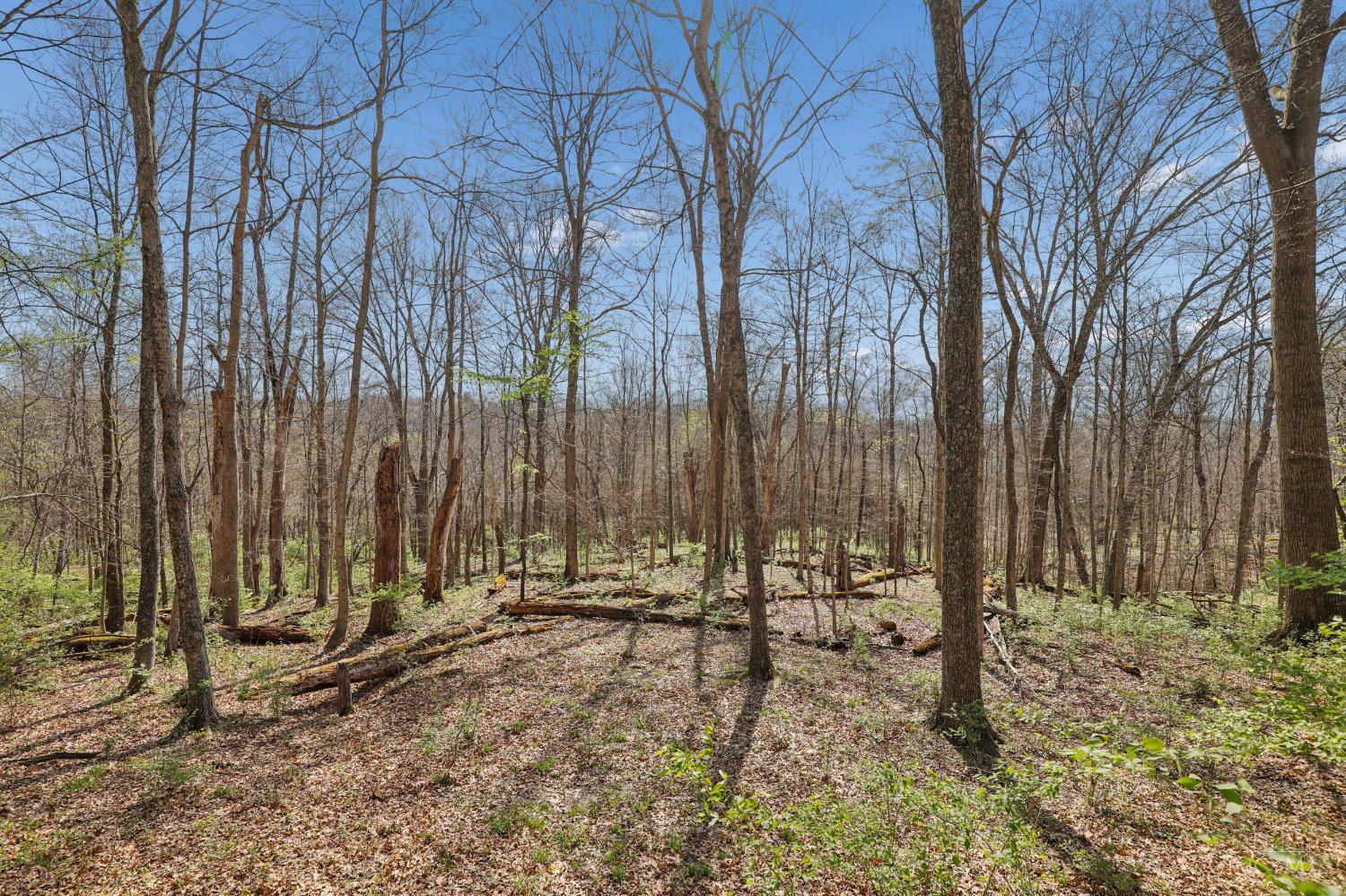 3790 E Fagins Run Loop Road