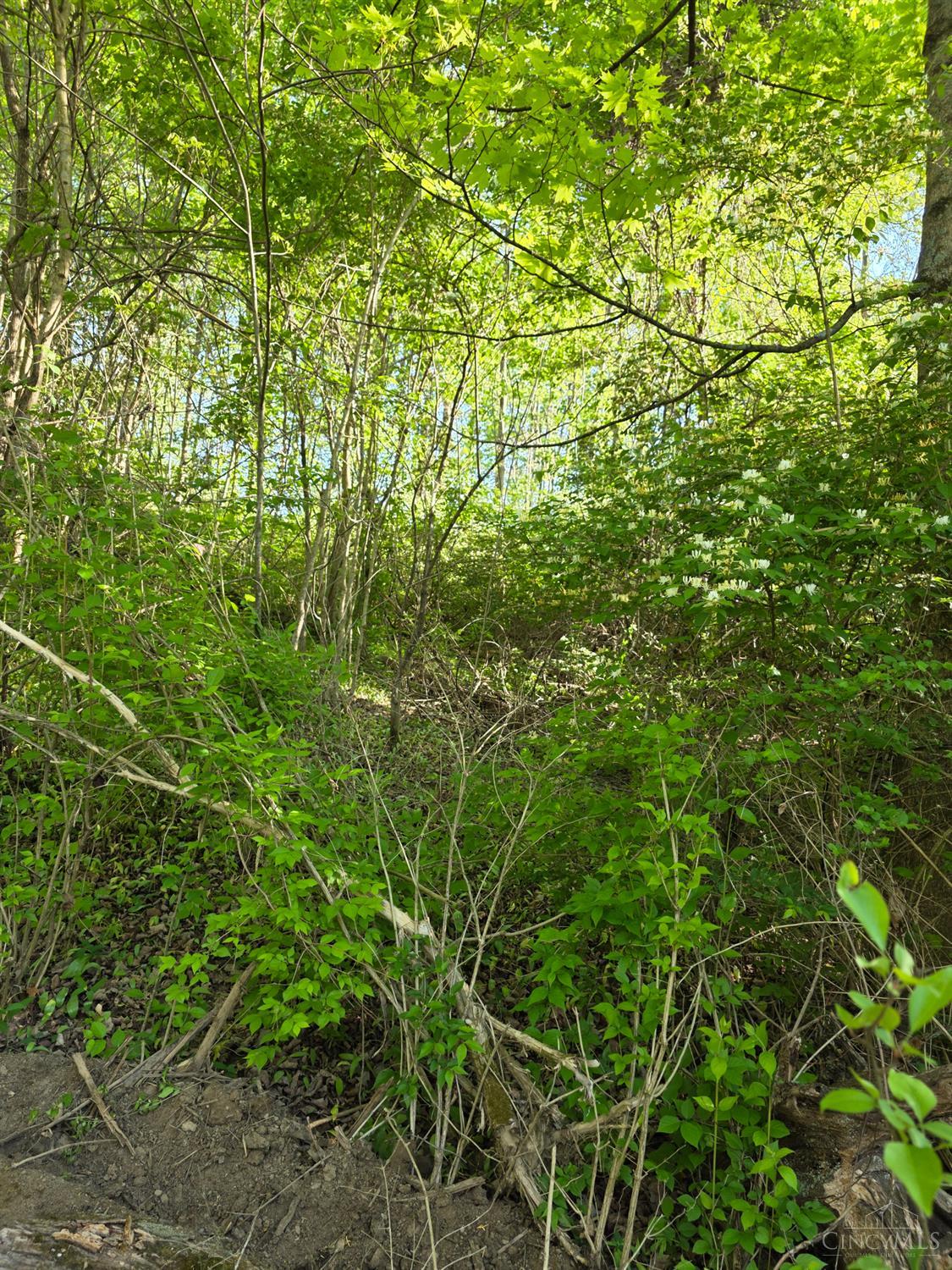 11965 Stone Mill Road