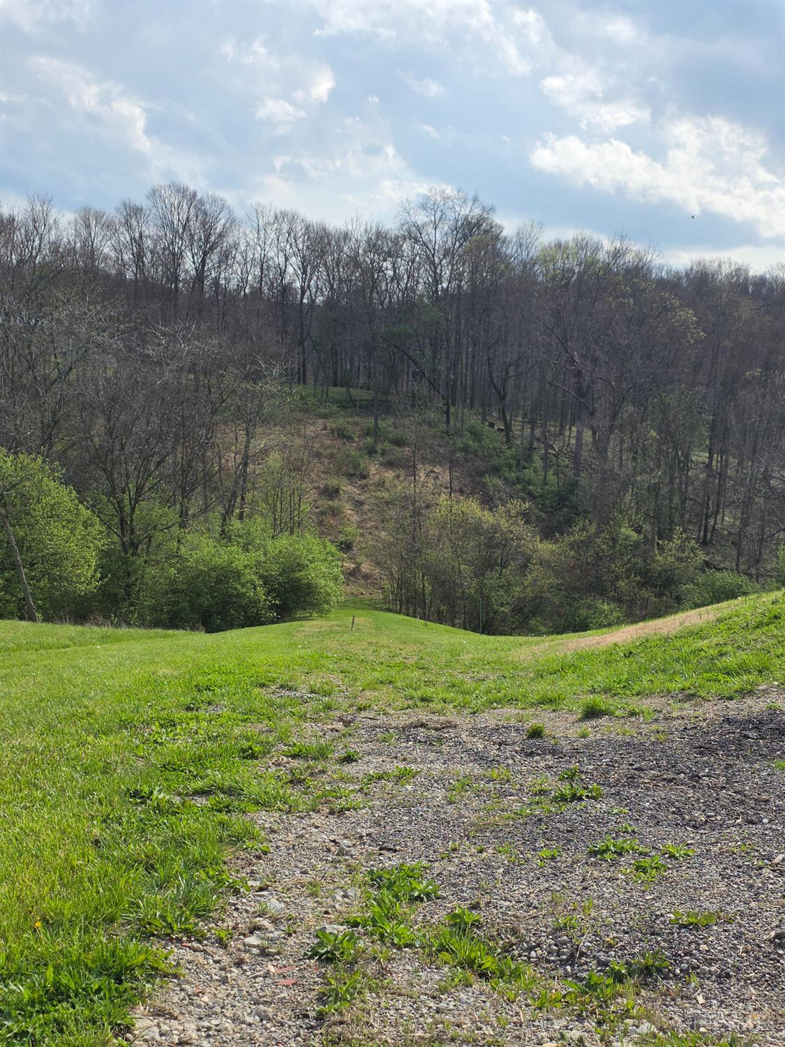 11965 Stone Mill Road