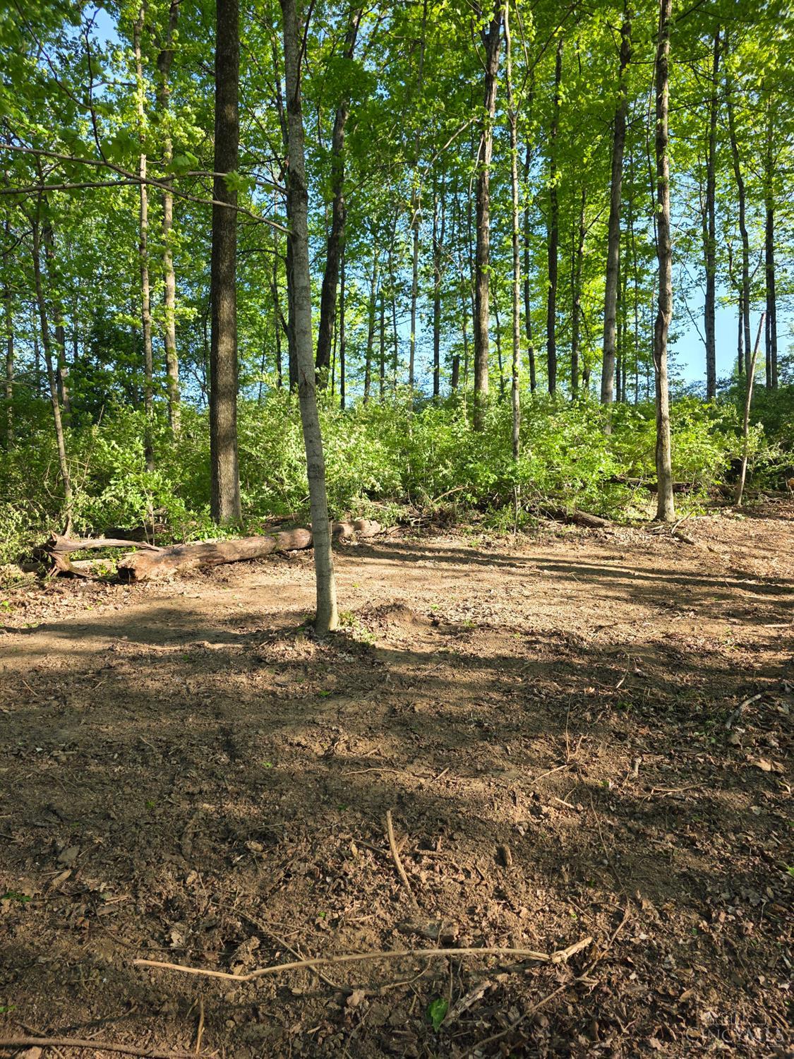 11965 Stone Mill Road