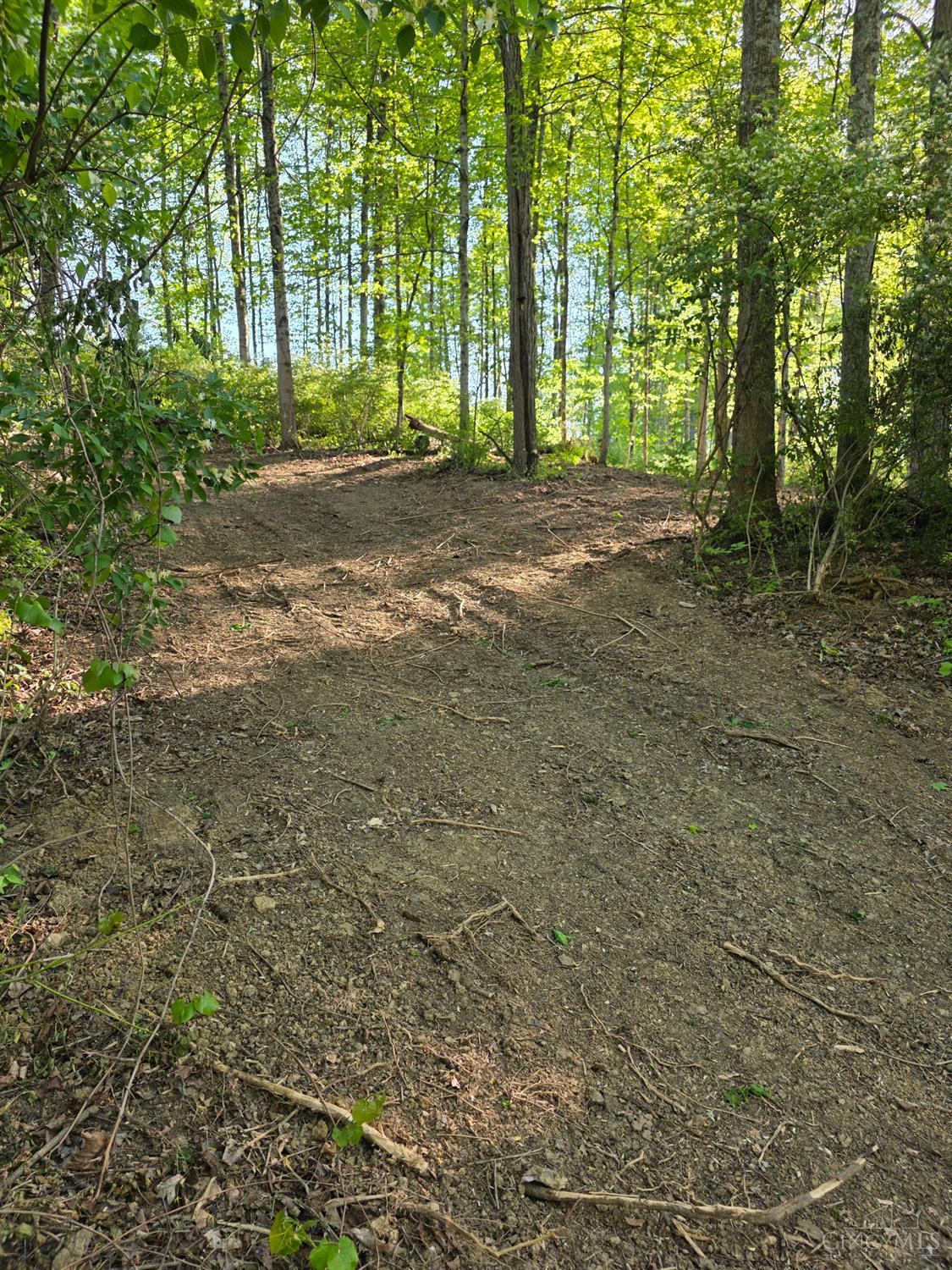 11965 Stone Mill Road