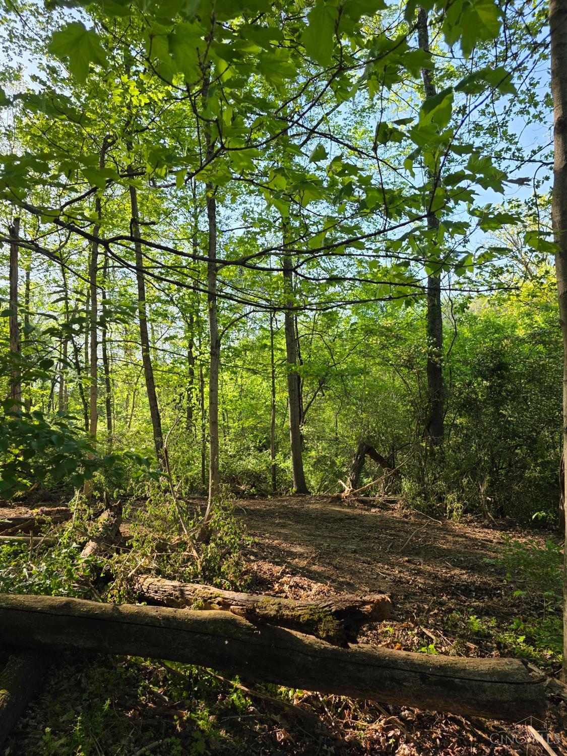 11965 Stone Mill Road