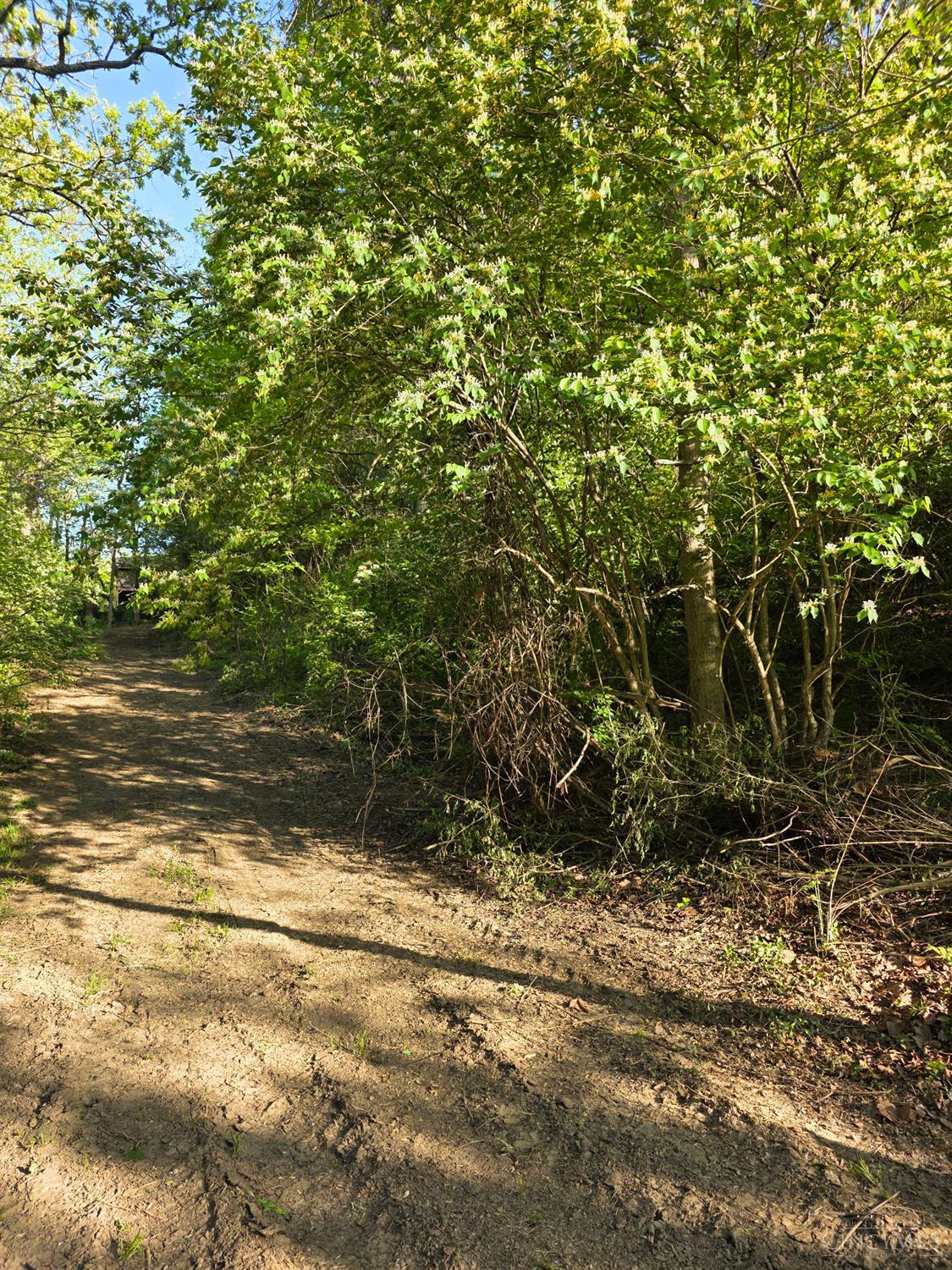 11965 Stone Mill Road