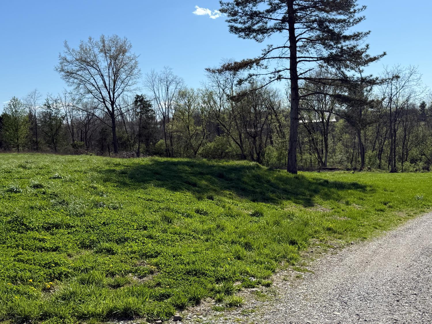 3363 State Route 774