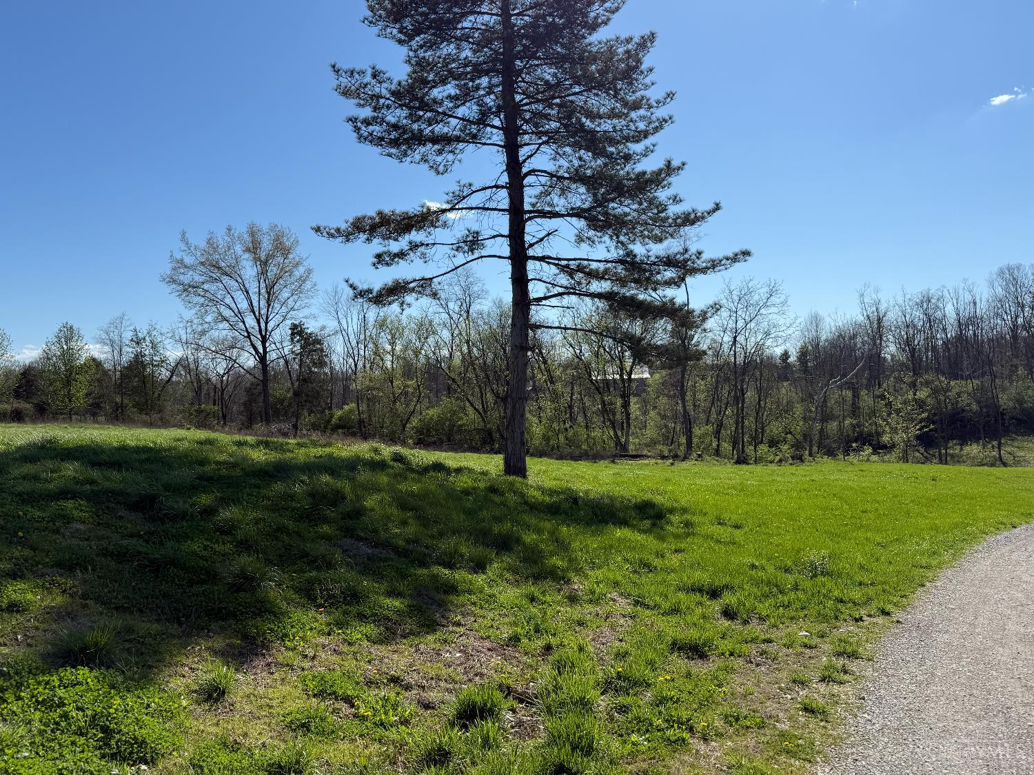 3363 State Route 774