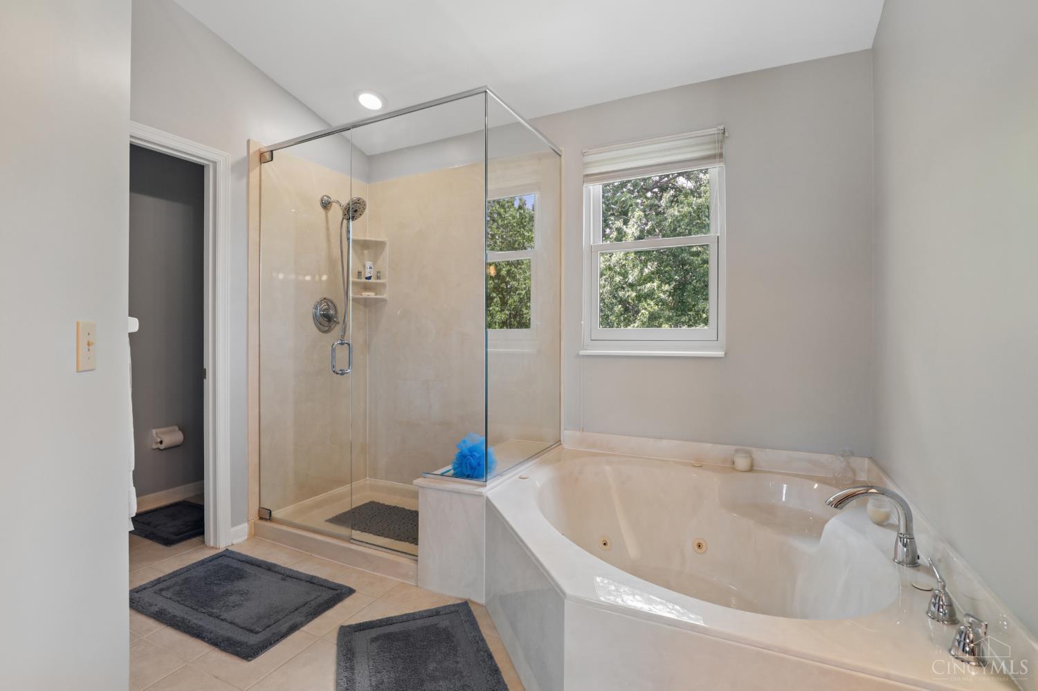 6967 Berry Blossom Court
