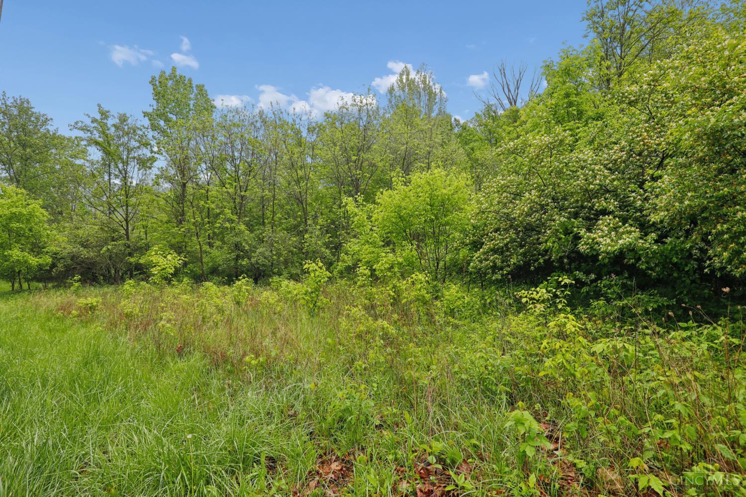 480 Tam O Shanter Court