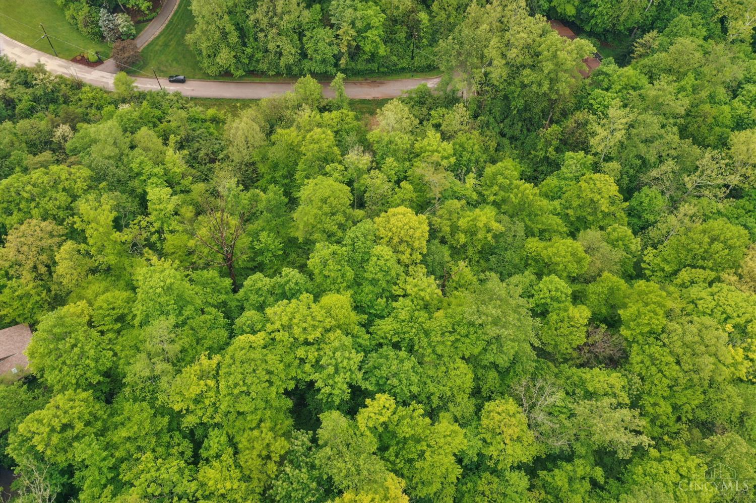 480 Tam O Shanter Court