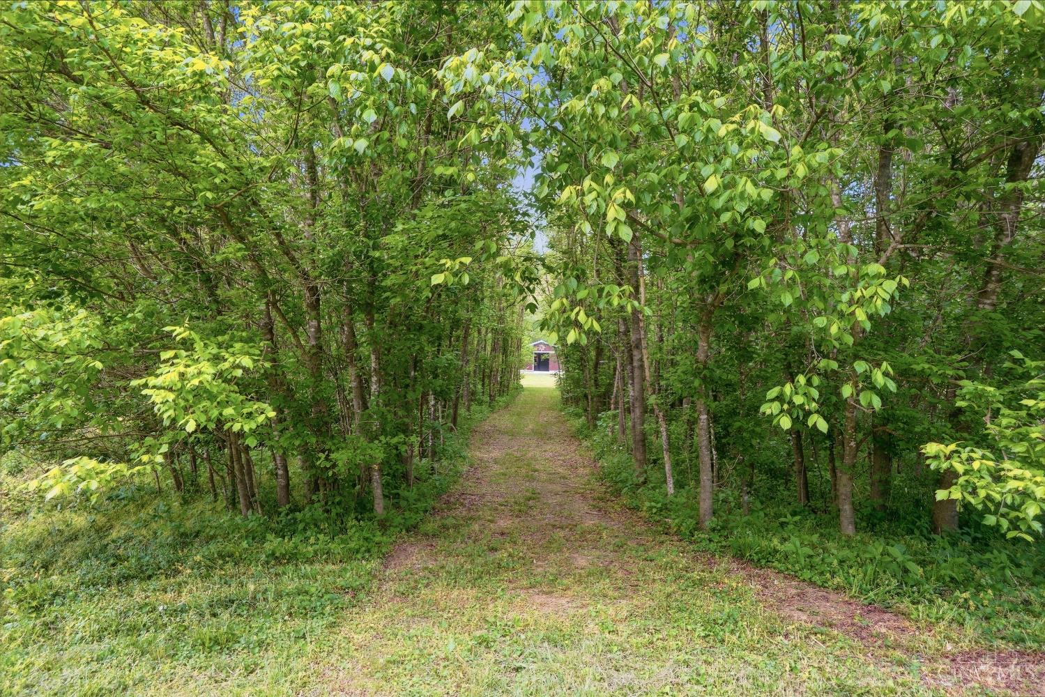 307 Bear Creek Road