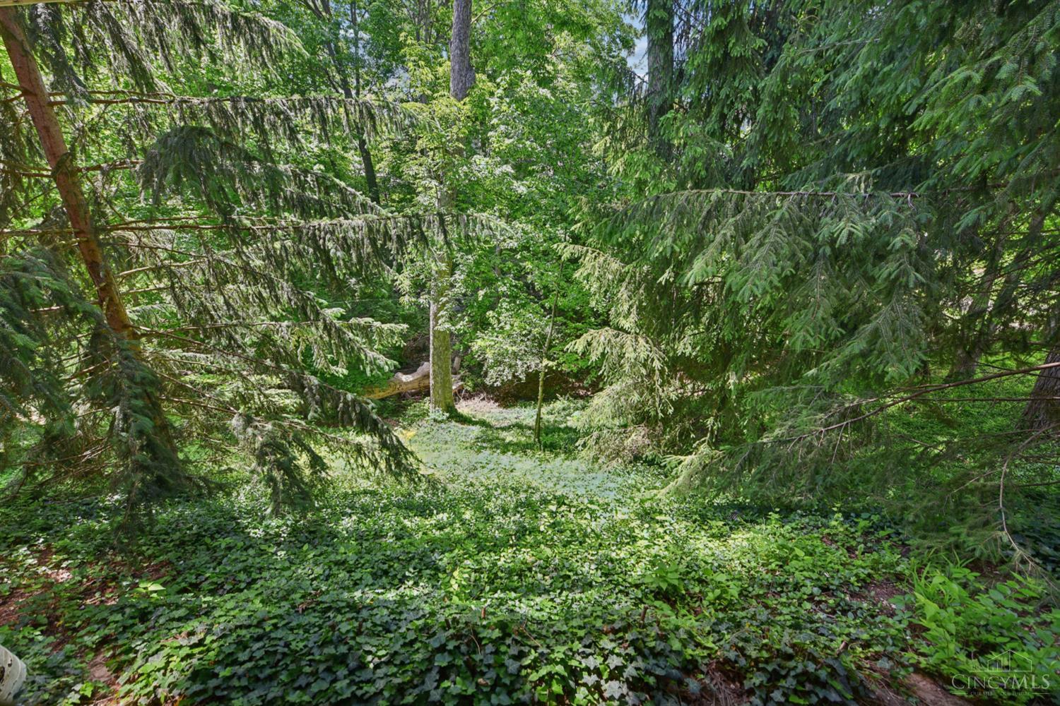 1211 Herschel Woods Lane