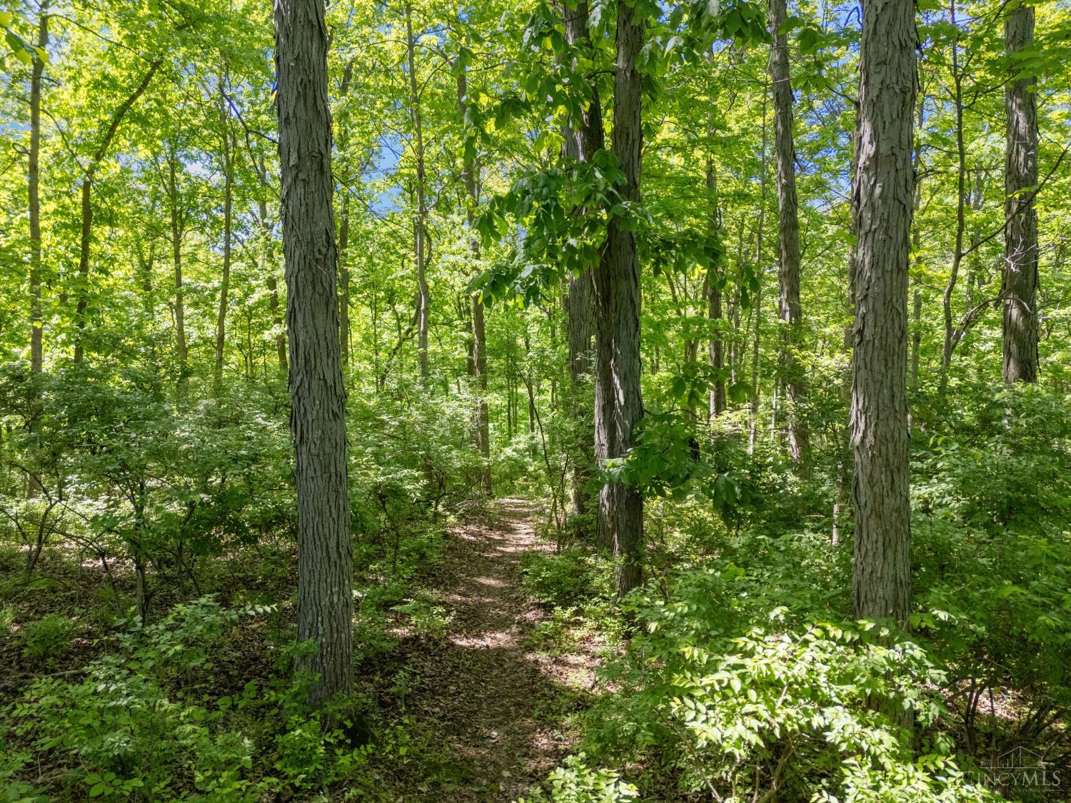 5927 Castlewood 4
