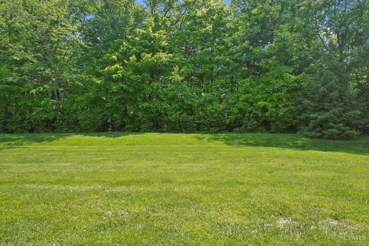 4115 Woodsly Drive
