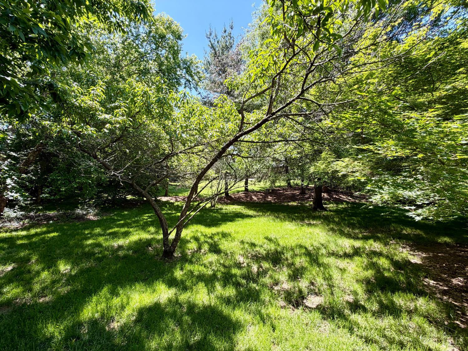 4210 Allenhurst Close Court
