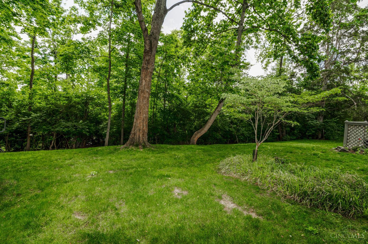 11528 Symmes Gate Lane