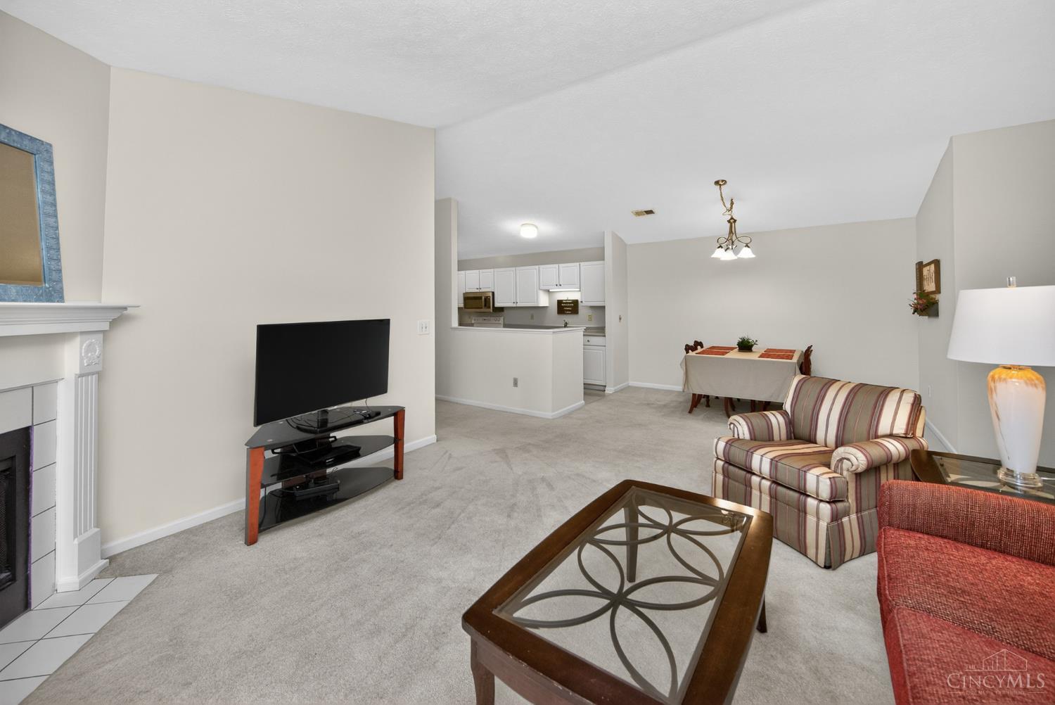 12031 Carrington Lane 206