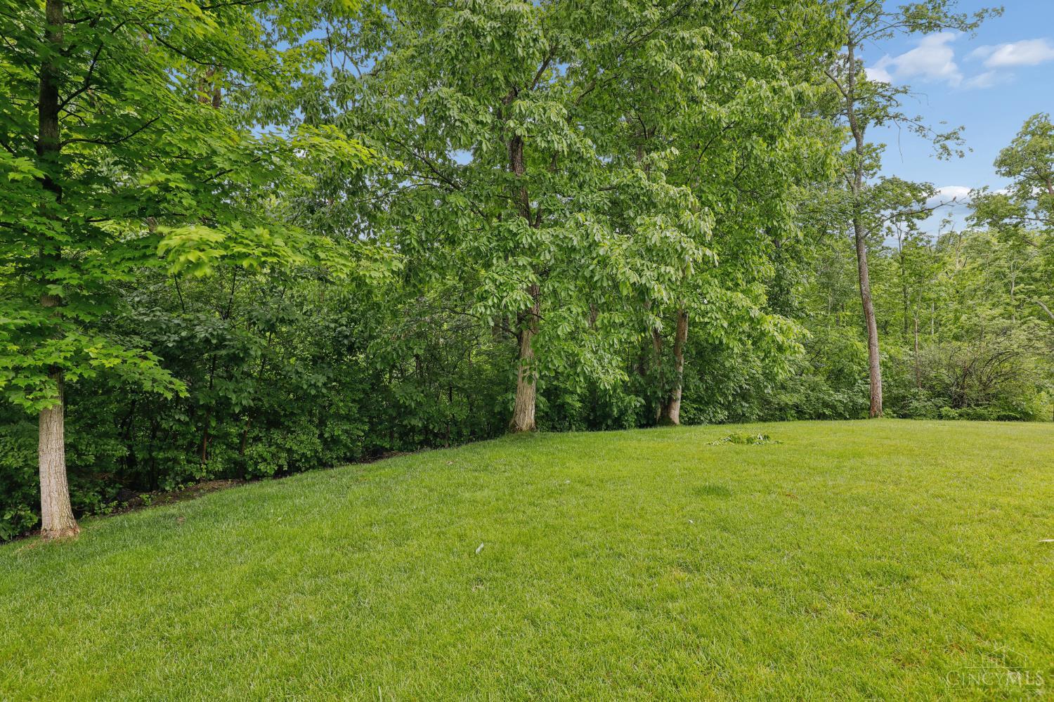 431 Trailview Court