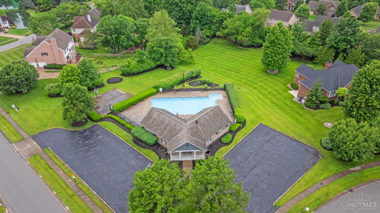 6019 Scotch Pine Drive