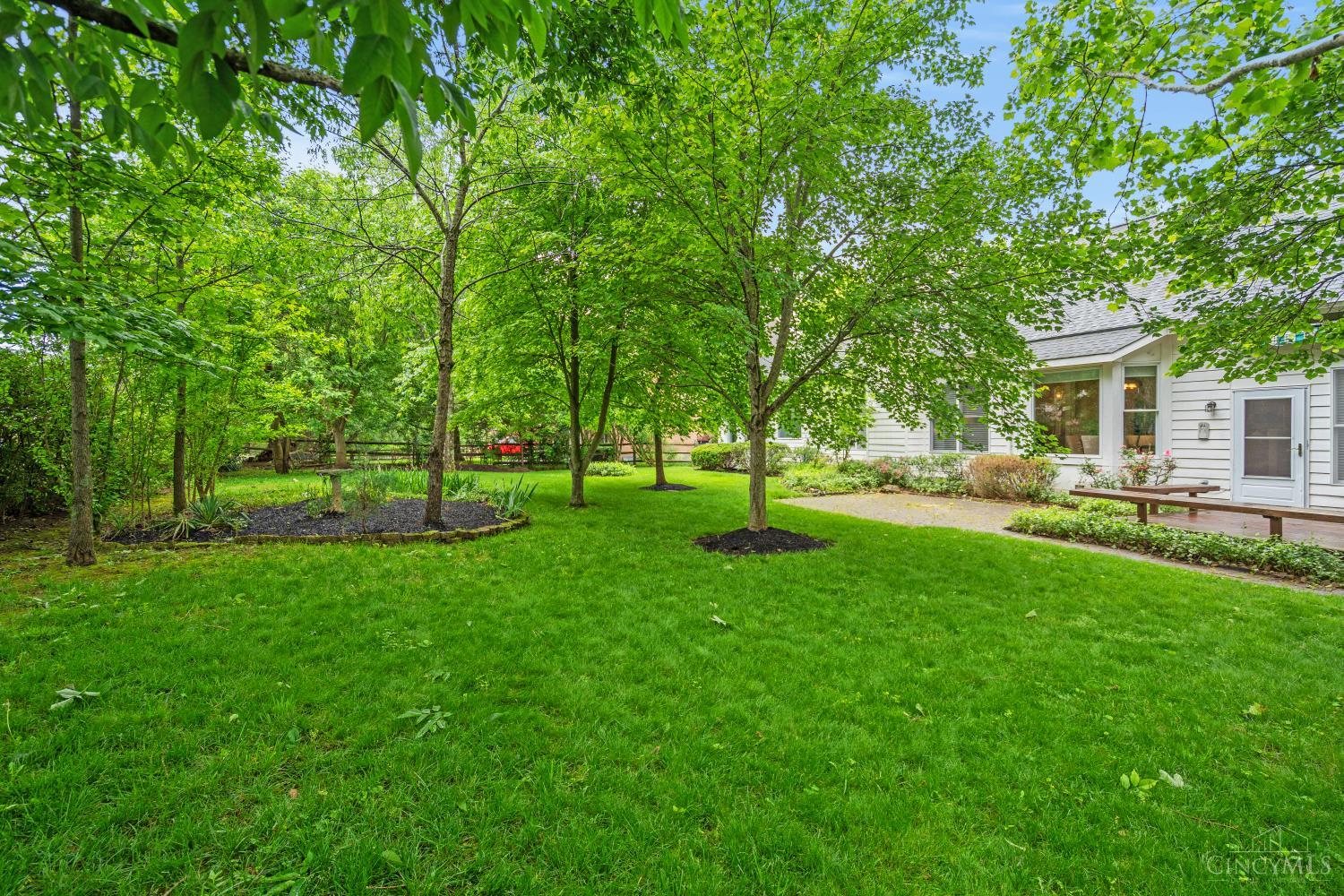 6019 Scotch Pine Drive