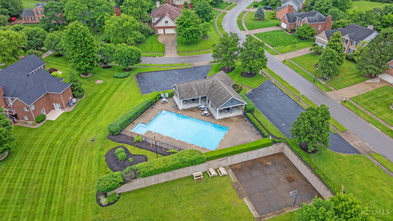 6019 Scotch Pine Drive