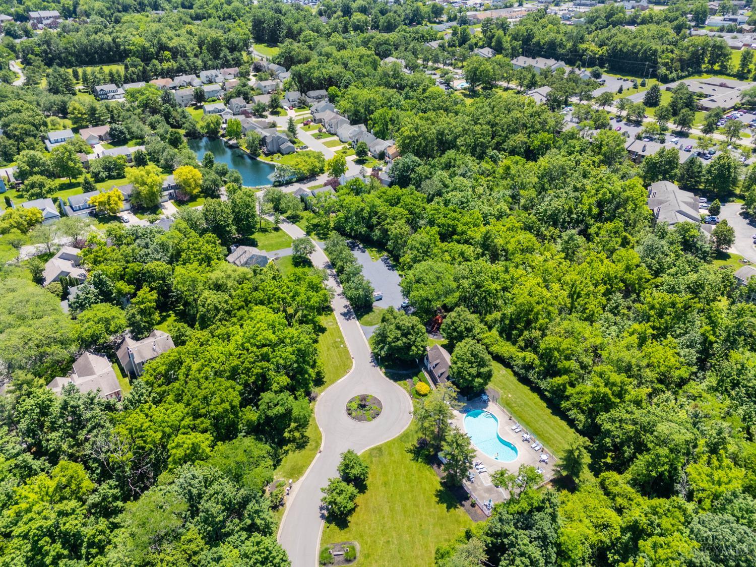 943 Saffron Lane