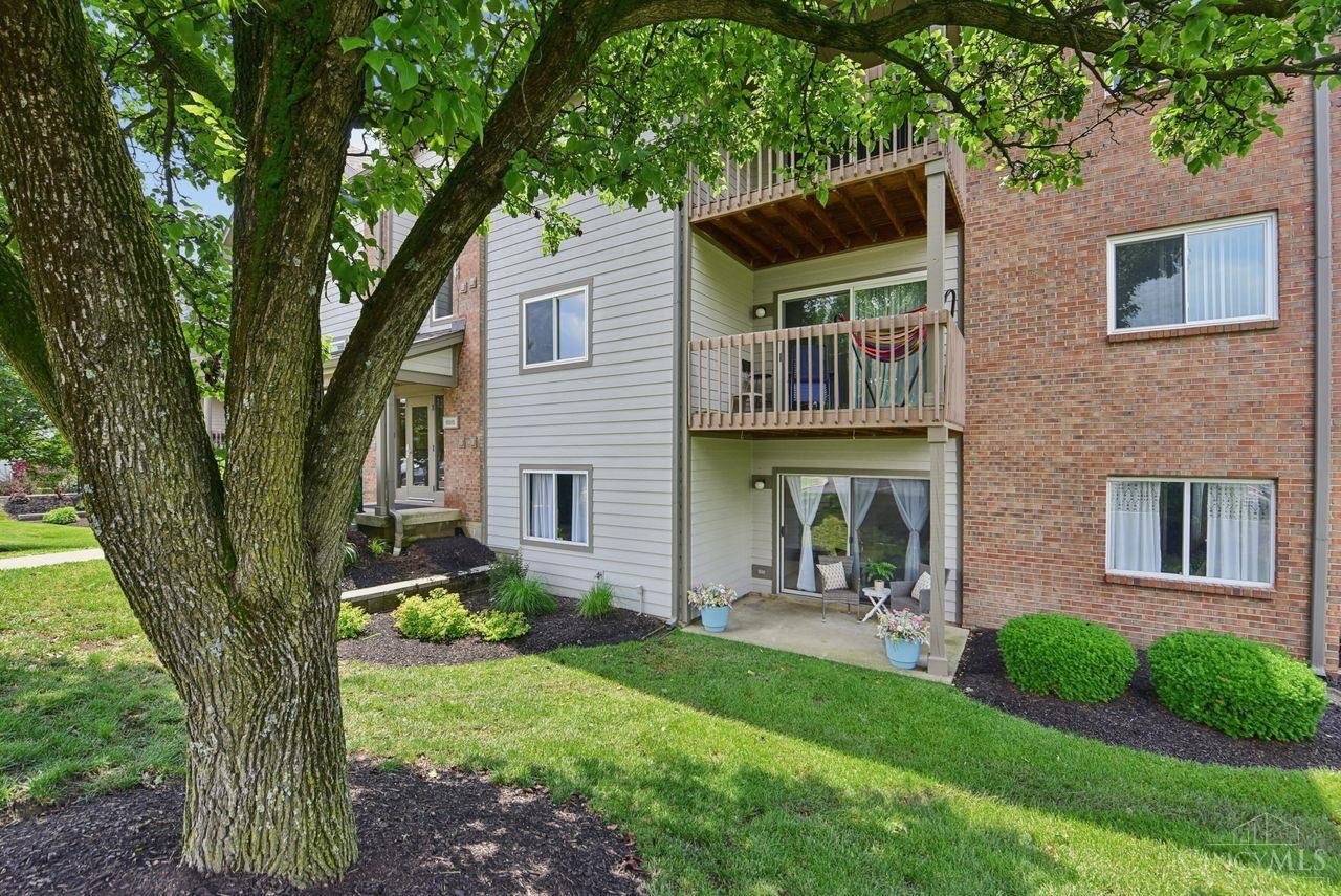 8919 Eagleview Drive 3