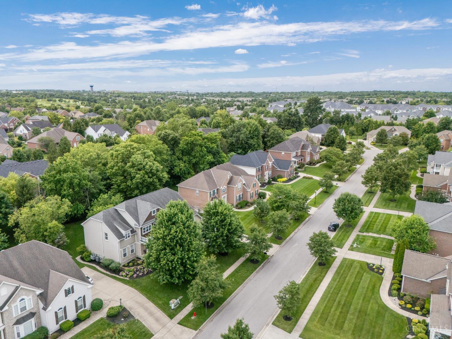 6613 Hollow Tree Court