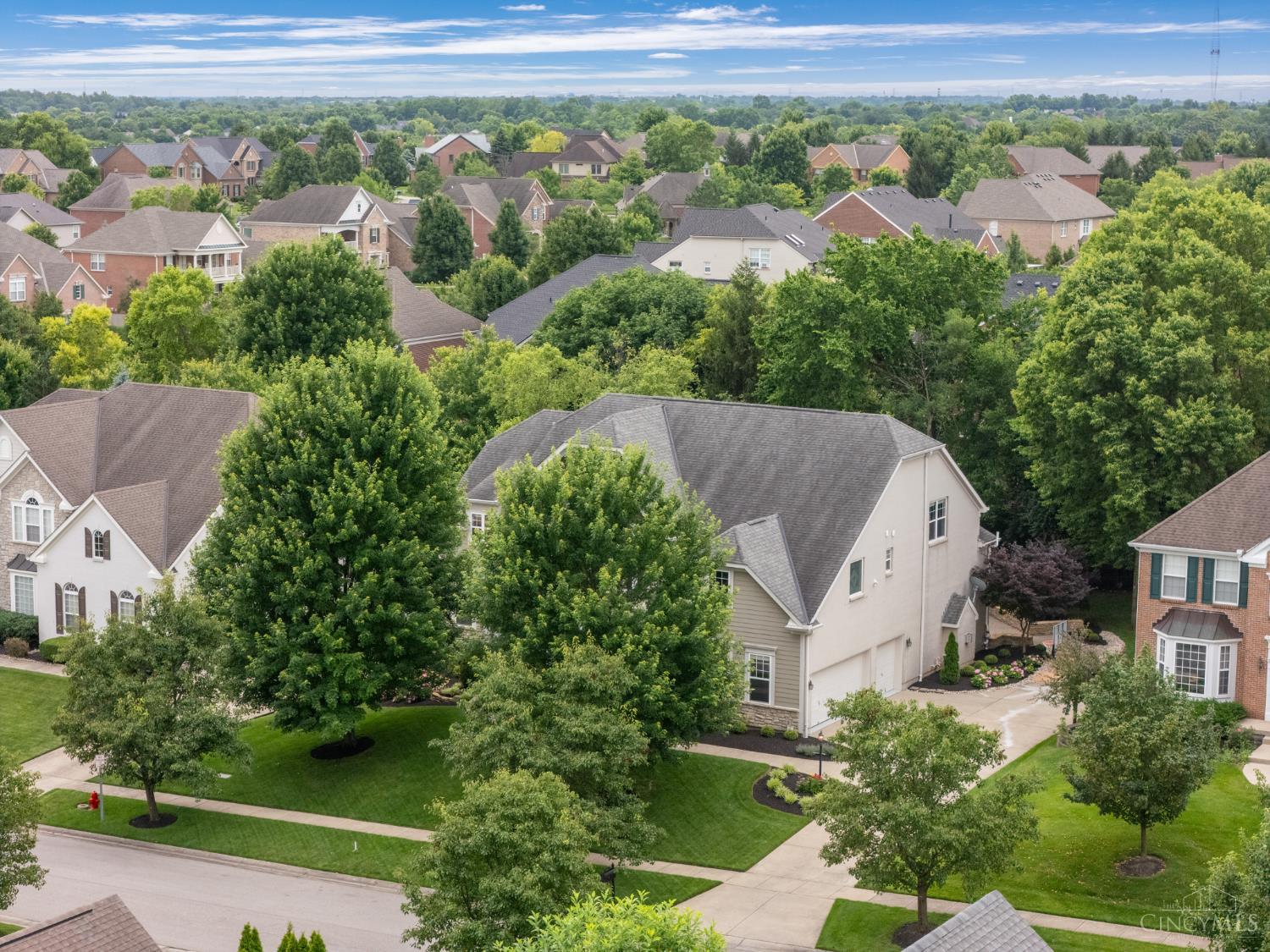 6613 Hollow Tree Court