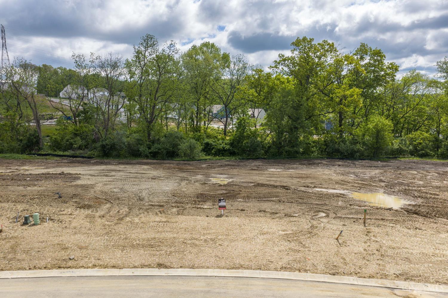 421 Trailside Woods Court
