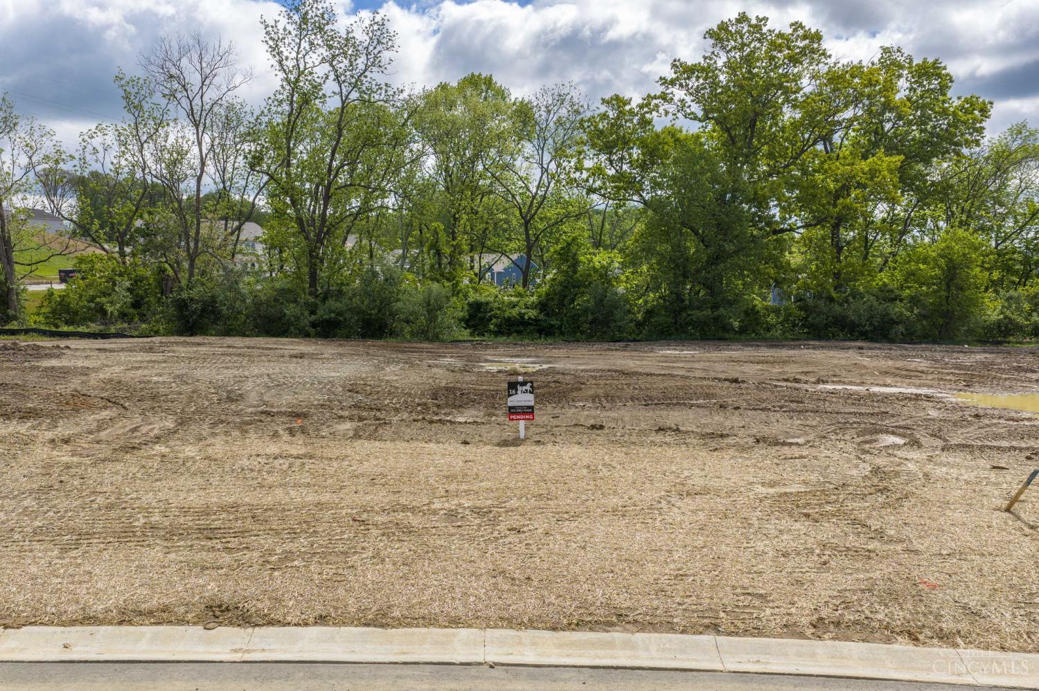 421 Trailside Woods Court