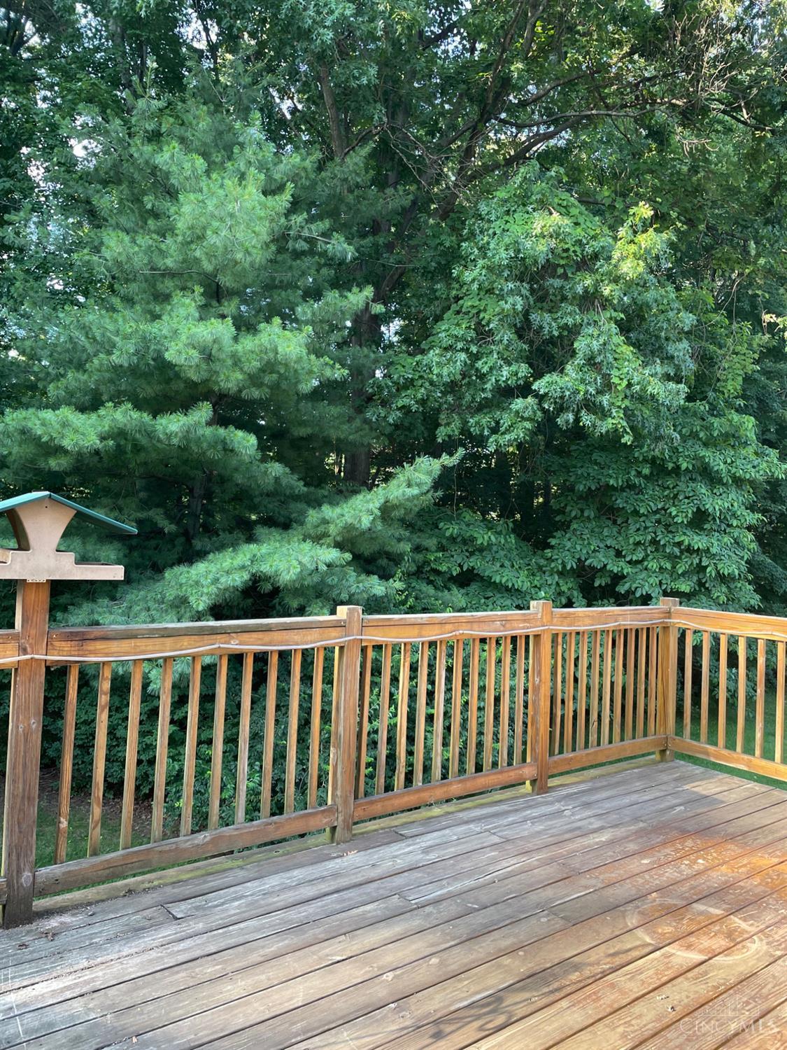 1138 Chestnut Court
