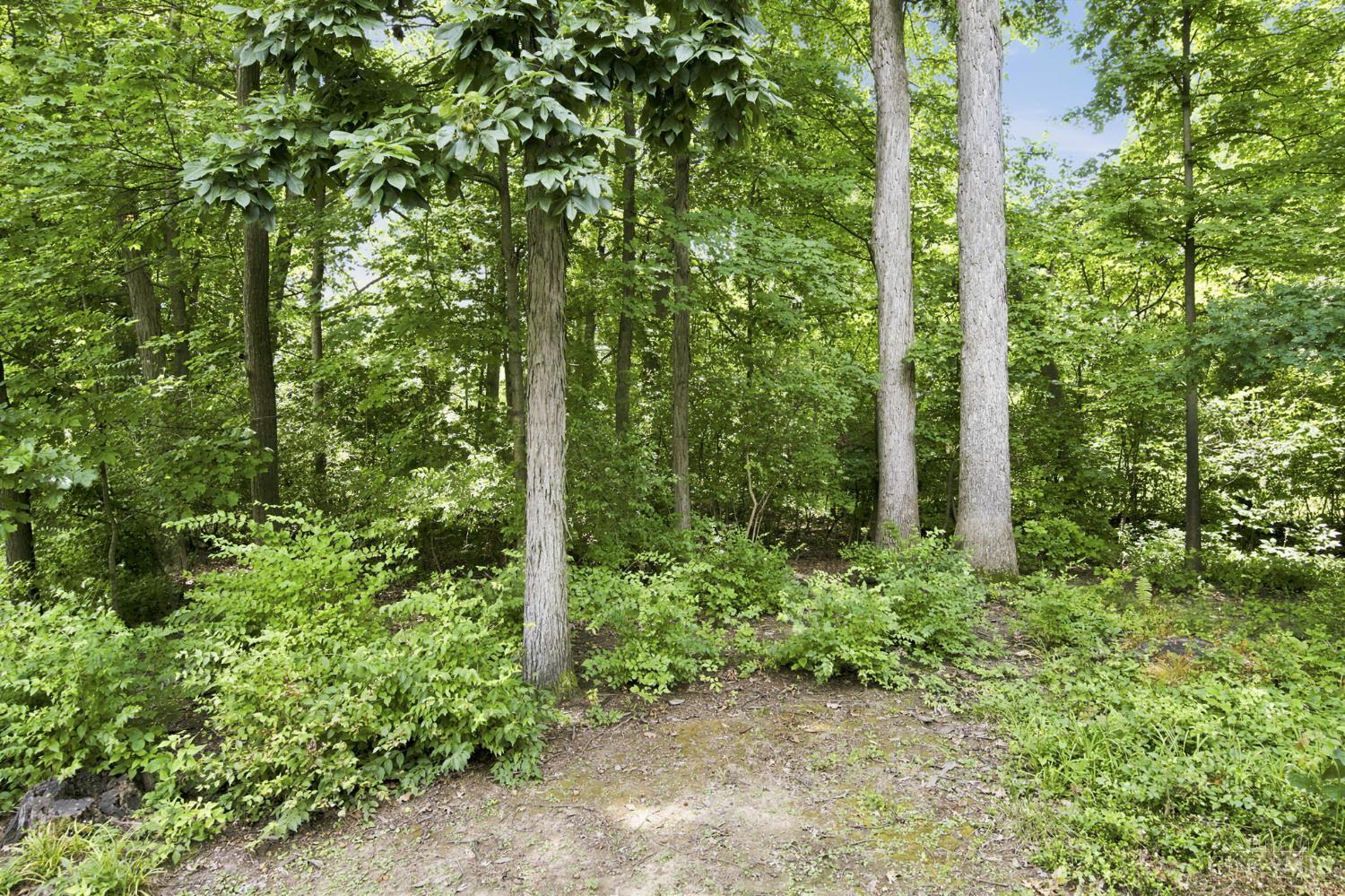 5317 Hickory Trail Lane