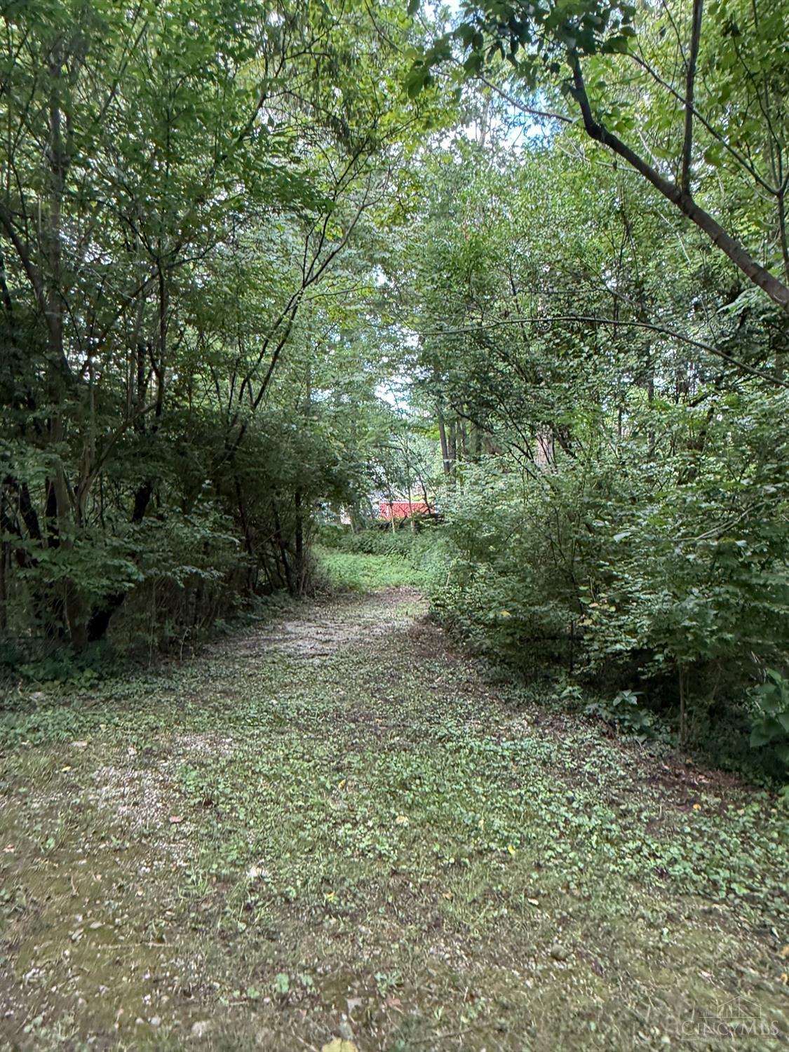 2019 Adams Road