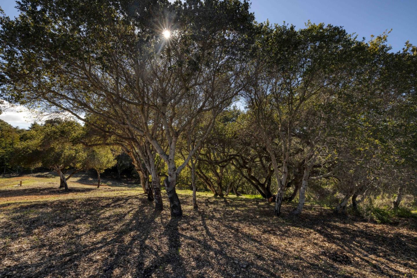 285 El Caminito Road