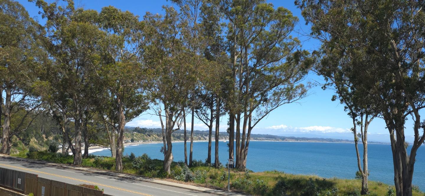 815 Balboa Avenue 206