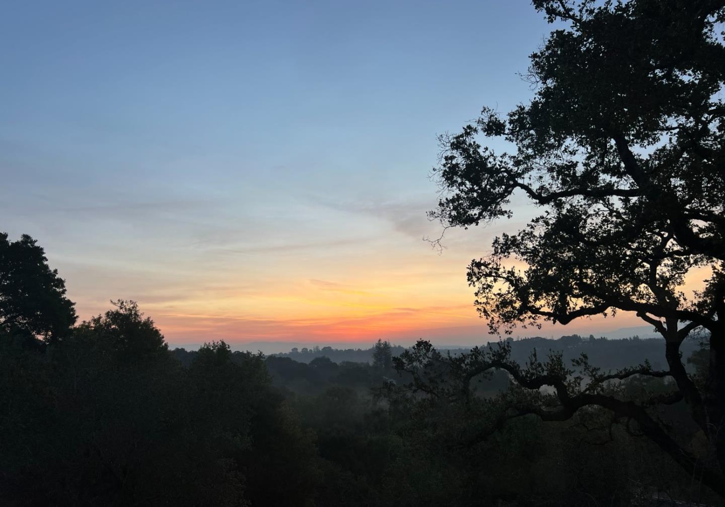 175 Alta Mesa Road