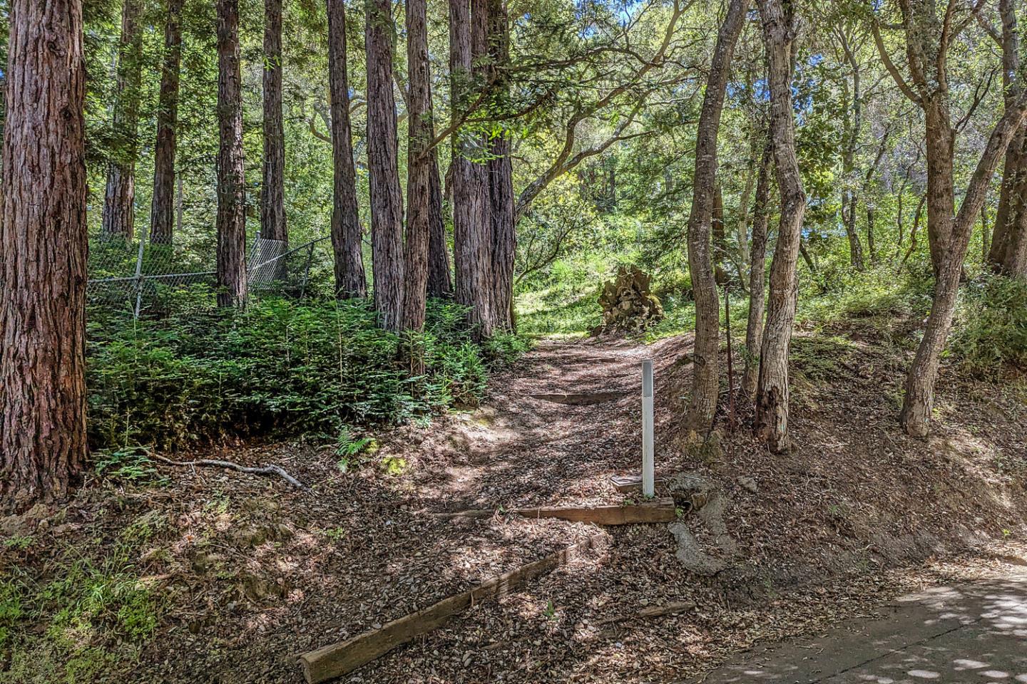 855 Patrol Road